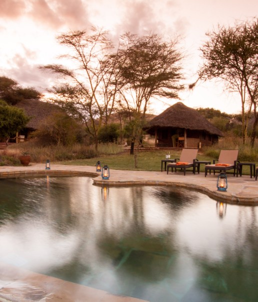 Tortilis_Camp - accommodation - swimming pool for the family units-4